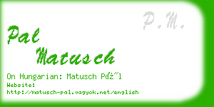 pal matusch business card